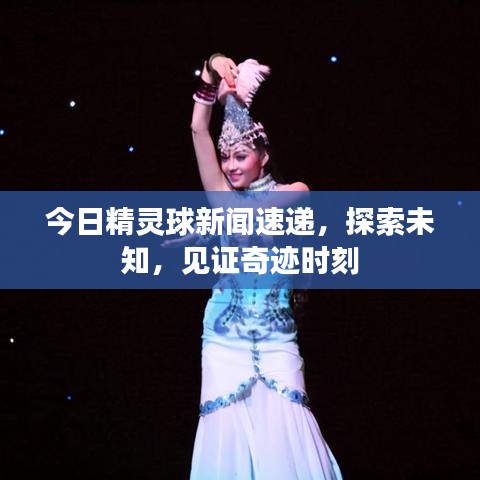 今日精灵球新闻速递，探索未知，见证奇迹时刻