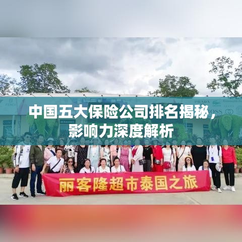 中国五大保险公司排名揭秘,影响力深度解析