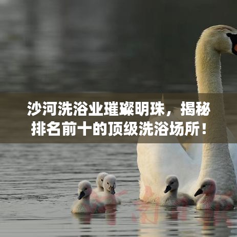 沙河洗浴业璀璨明珠，揭秘排名前十的顶级洗浴场所！