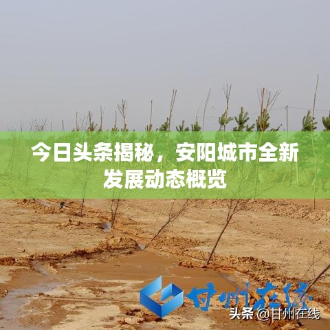今日头条揭秘，安阳城市全新发展动态概览