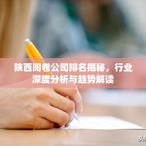 陕西阅卷公司排名揭秘,行业深度分析与趋势解读