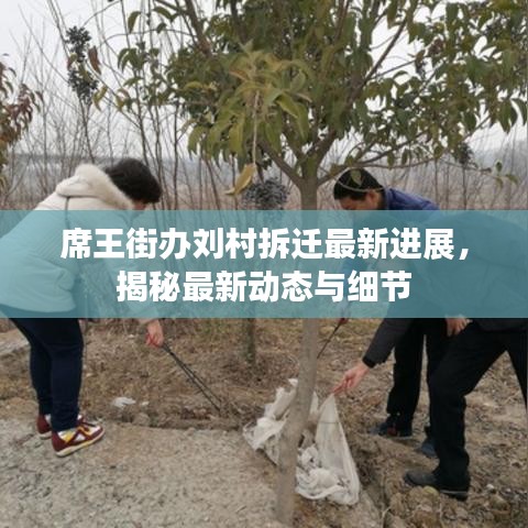 席王街办刘村拆迁最新进展,揭秘最新动态与细节