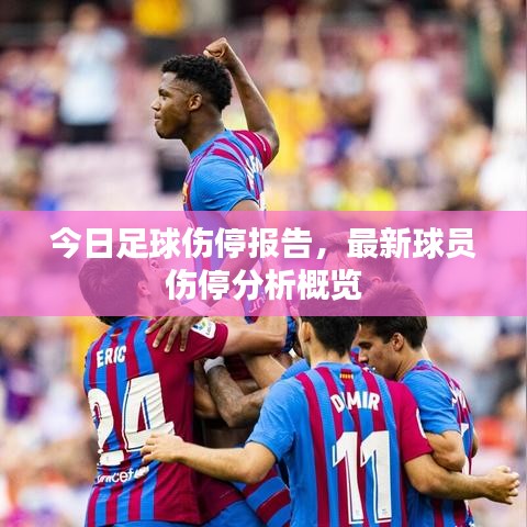 今日足球伤停报告,最新球员伤停分析概览