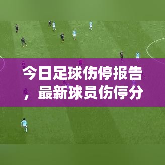 今日足球伤停报告，最新球员伤停分析概览