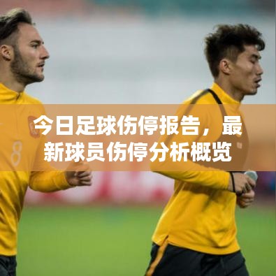 今日足球伤停报告,最新球员伤停分析概览