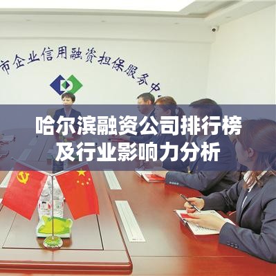 哈尔滨融资公司排行榜及行业影响力分析