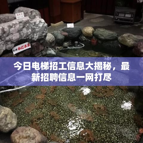 今日电梯招工信息大揭秘,最新招聘信息一网打尽