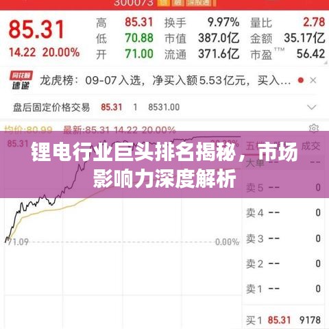 锂电行业巨头排名揭秘,市场影响力深度解析