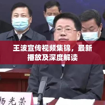 王波宣传视频集锦,最新播放及深度解读