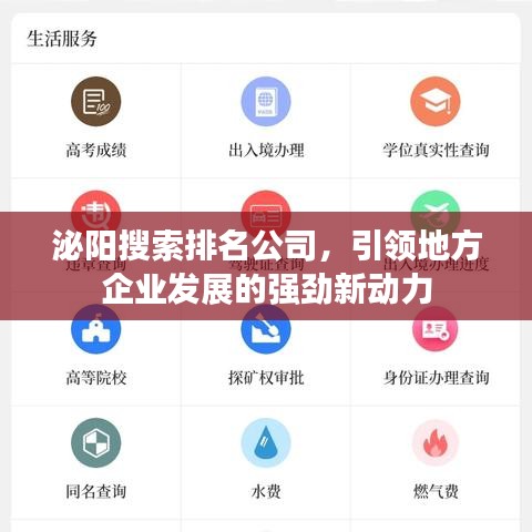 泌阳搜索排名公司,引领地方企业发展的强劲新动力