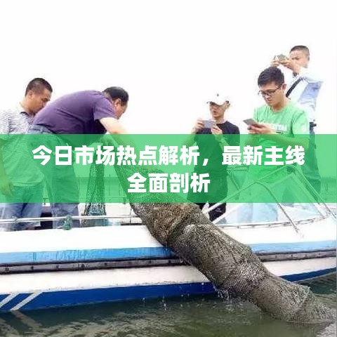 今日市场热点解析，最新主线全面剖析