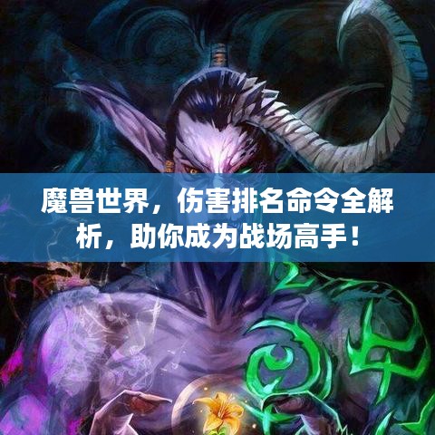 魔兽世界,伤害排名命令全解析,助你成为战场高手!