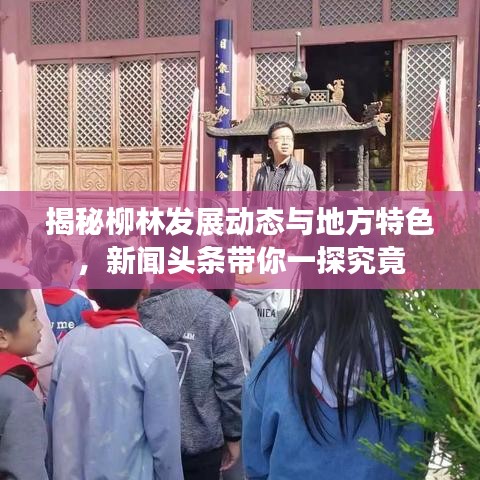 揭秘柳林发展动态与地方特色,新闻头条带你一探究竟