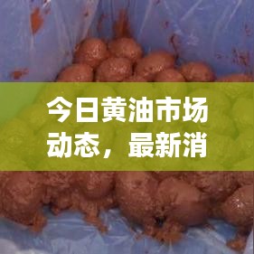 今日黄油市场动态，最新消息与价格表全面解析