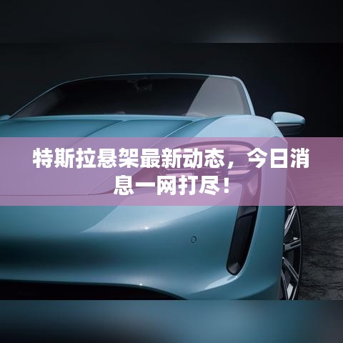 特斯拉悬架最新动态,今日消息一网打尽!