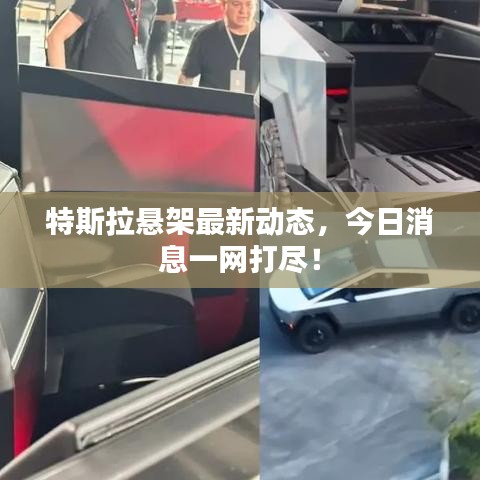 特斯拉悬架最新动态,今日消息一网打尽!