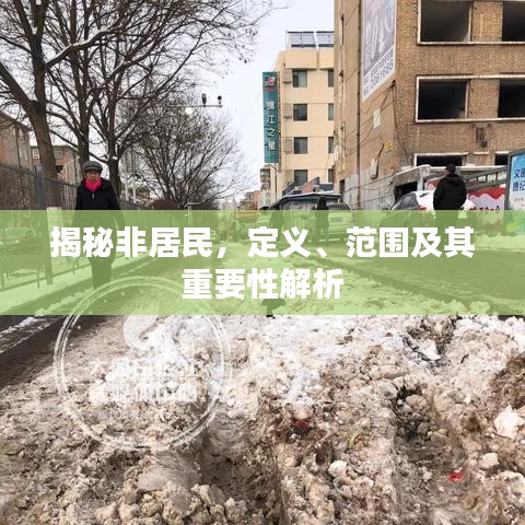 揭秘非居民，定义、范围及其重要性解析