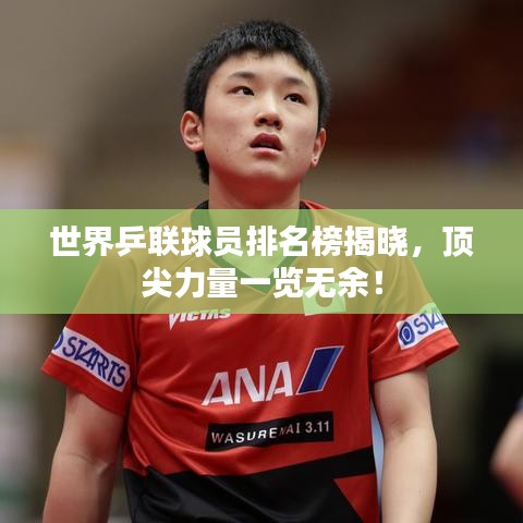 艰苦卓绝 第4页