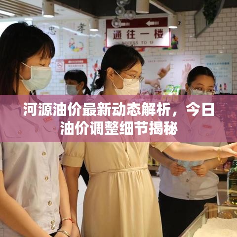 河源油价最新动态解析,今日油价调整细节揭秘