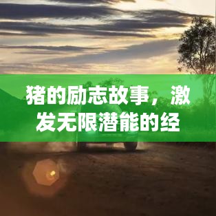 持之以恒 第4页