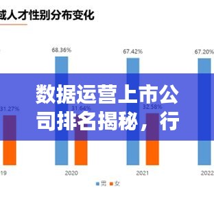 数据运营上市公司排名揭秘,行业洞察报告重磅出炉!