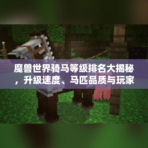 魔兽世界骑马等级排名大揭秘，升级速度、马匹品质与玩家荣耀！