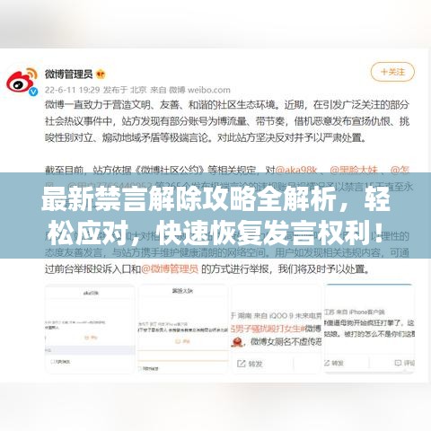 最新禁言解除攻略全解析,轻松应对,快速恢复发言权利!