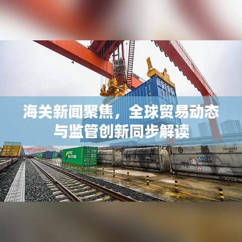 海关新闻聚焦，全球贸易动态与监管创新同步解读