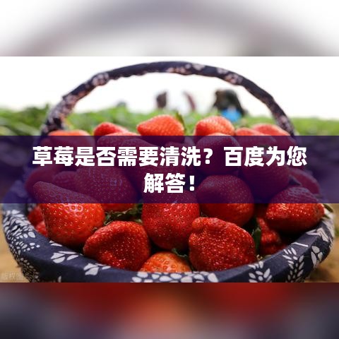 草莓是否需要清洗？百度为您解答！
