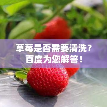 草莓是否需要清洗?百度为您解答!