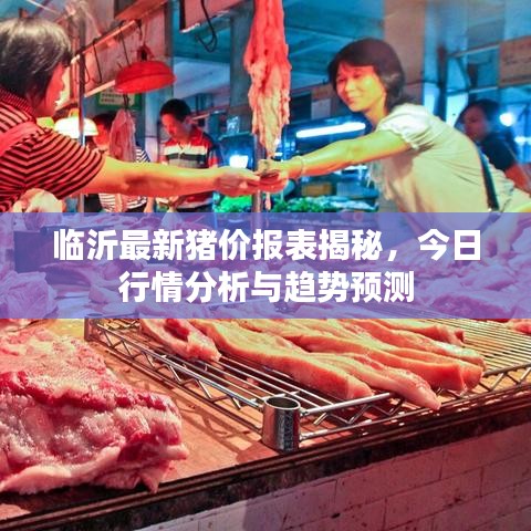 临沂最新猪价报表揭秘，今日行情分析与趋势预测