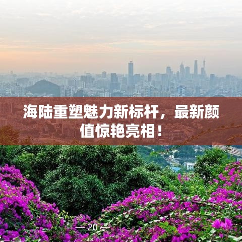 合作伙伴 第209页