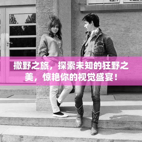 撒野之旅，探索未知的狂野之美，惊艳你的视觉盛宴！