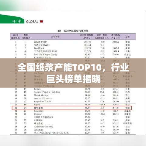 全国纸浆产能TOP10,行业巨头榜单揭晓