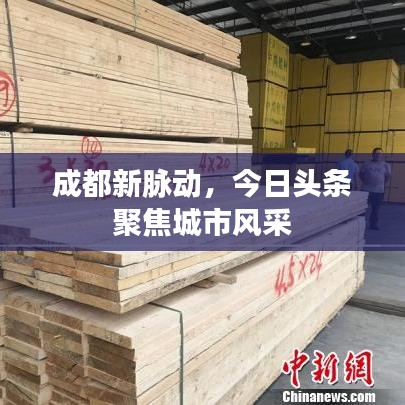 成都新脉动,今日头条聚焦城市风采