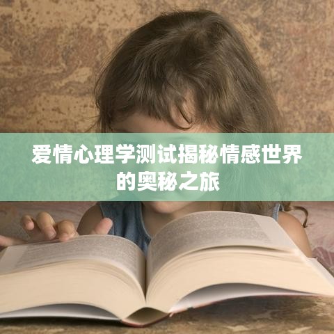 爱情心理学测试揭秘情感世界的奥秘之旅