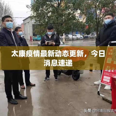太康疫情最新动态更新,今日消息速递