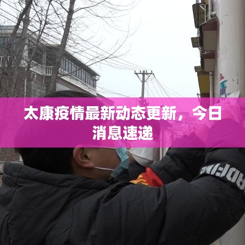 太康疫情最新动态更新,今日消息速递
