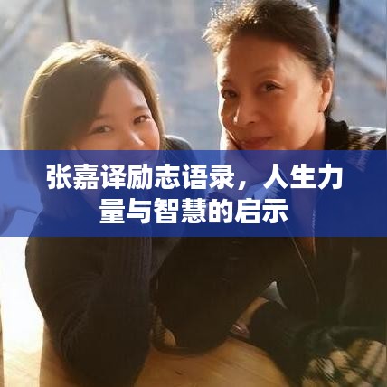 张嘉译励志语录，人生力量与智慧的启示