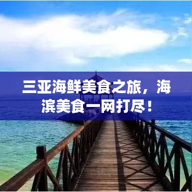 三亚海鲜美食之旅,海滨美食一网打尽!