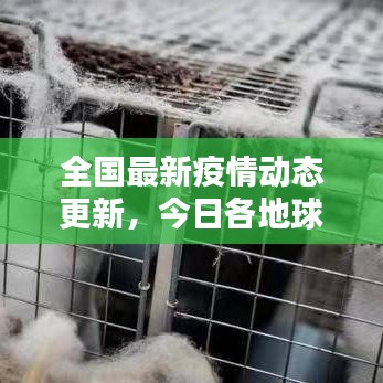 全国最新疫情动态更新,今日各地球疫情最新消息速递