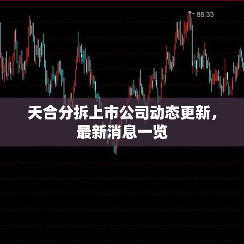 天合分拆上市公司动态更新，最新消息一览