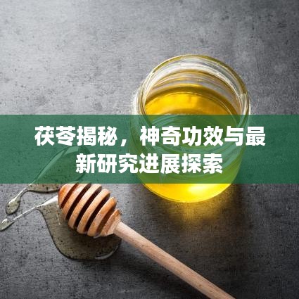 茯苓揭秘，神奇功效与最新研究进展探索