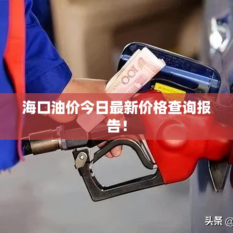 海口油价今日最新价格查询报告!