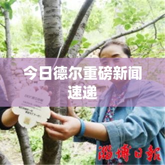 今日德尔重磅新闻速递