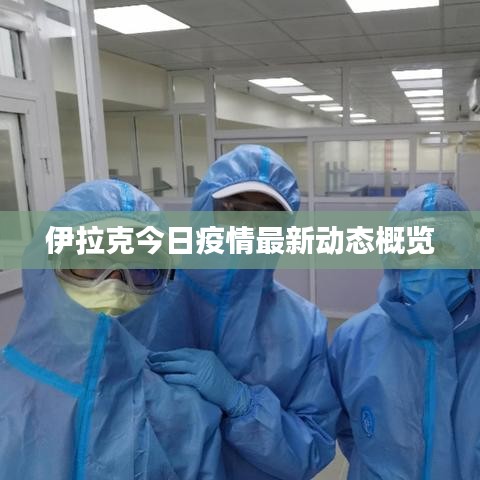 伊拉克今日疫情最新动态概览