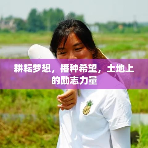 耕耘梦想，播种希望，土地上的励志力量