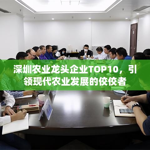 深圳农业龙头企业TOP10,引领现代农业发展的佼佼者