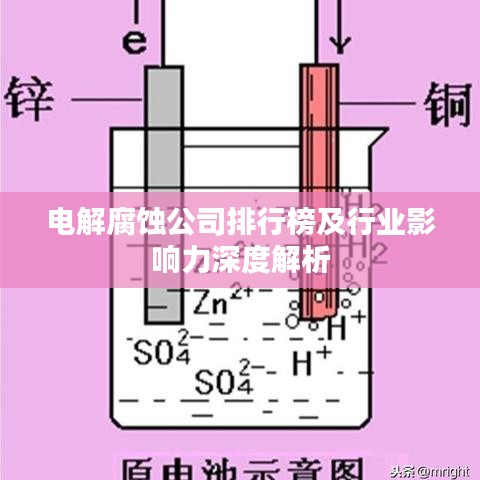 电解腐蚀公司排行榜及行业影响力深度解析