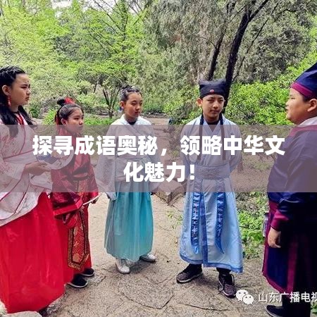 探寻成语奥秘,领略中华文化魅力!